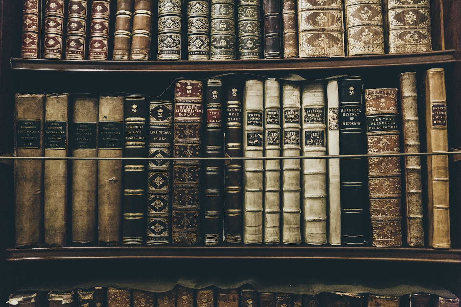 Why History Matters In Conservation Efforts